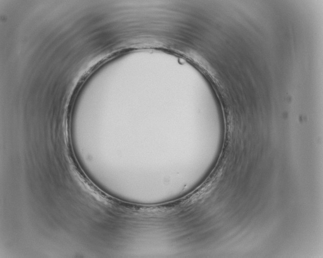 X0000070380840200606301919