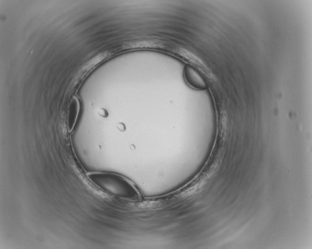 X0000070380841200606301919