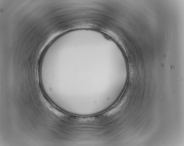 X0000070380843200606301919