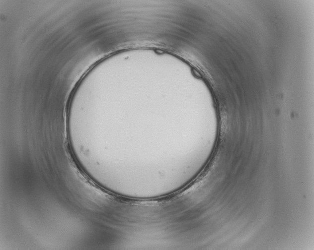 X0000070380844200606301919