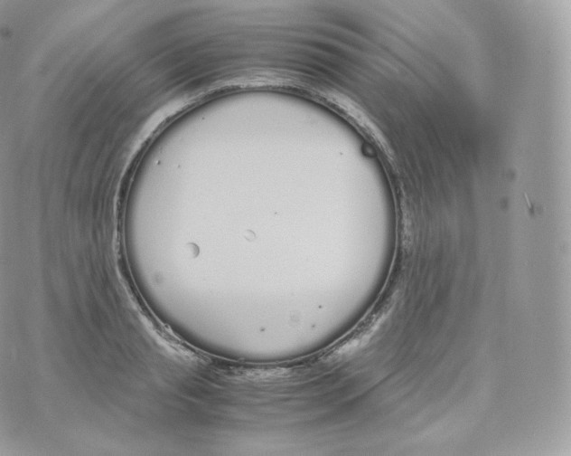 X0000070380845200606301919