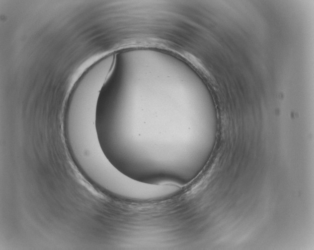 X0000070380846200606301919