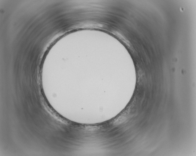 X0000070380848200606301919