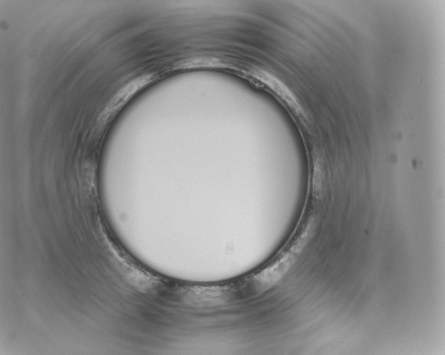 X0000070380849200606301919