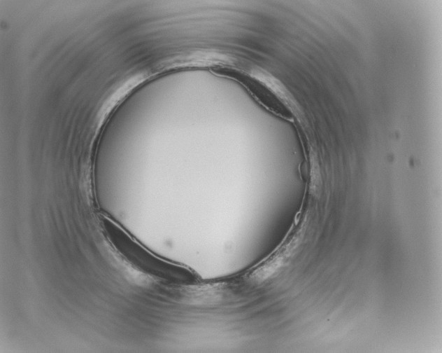 X0000070380850200606301919