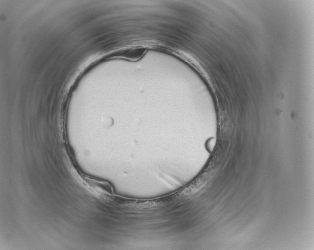 X0000070380851200606301919