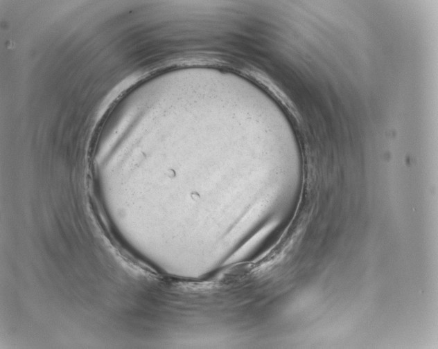 X0000070380853200606301919