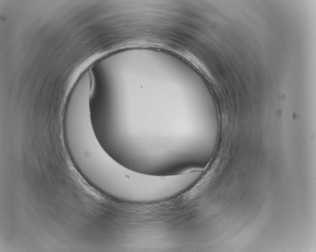 X0000070380854200606301919