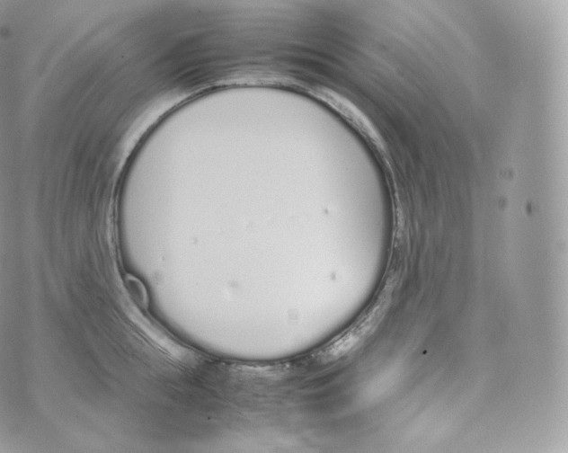 X0000070380855200606301919