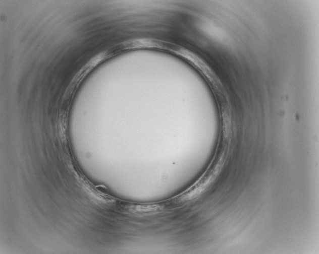 X0000070380857200606301919