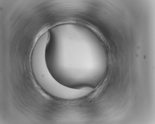 X0000070380858200606301919