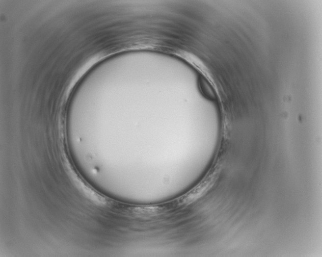 X0000070380859200606301919