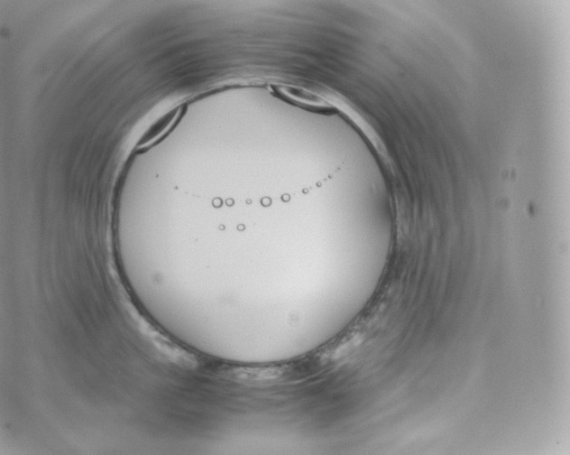 X0000070380861200606301920