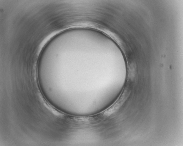 X0000070380862200606301920