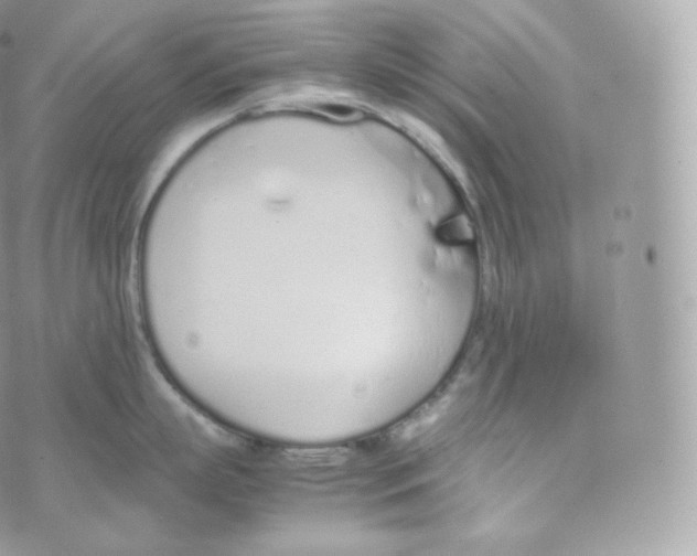 X0000070380863200606301920