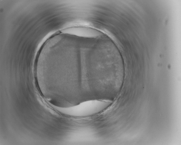 X0000070380864200606301920