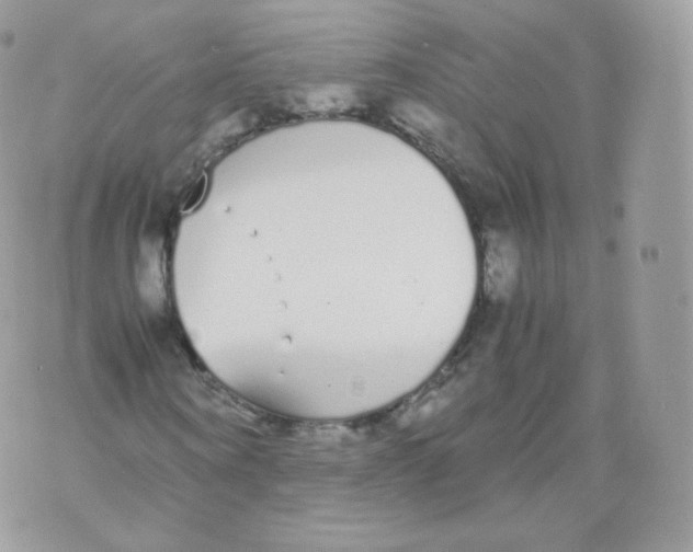 X0000070380866200606301919