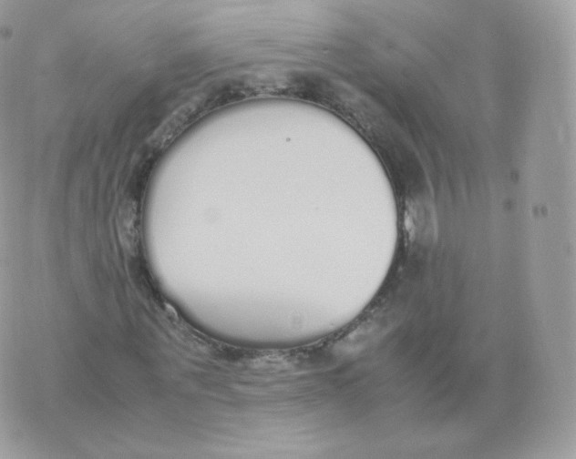 X0000070380867200606301919