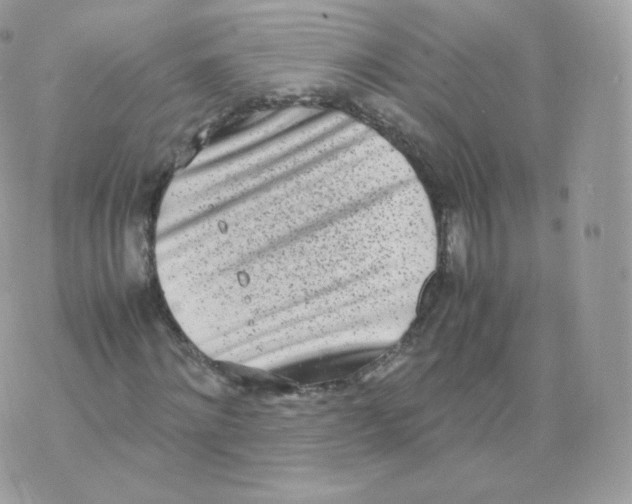 X0000070380868200606301919