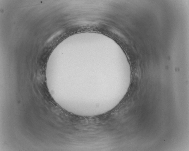 X0000070380869200606301919