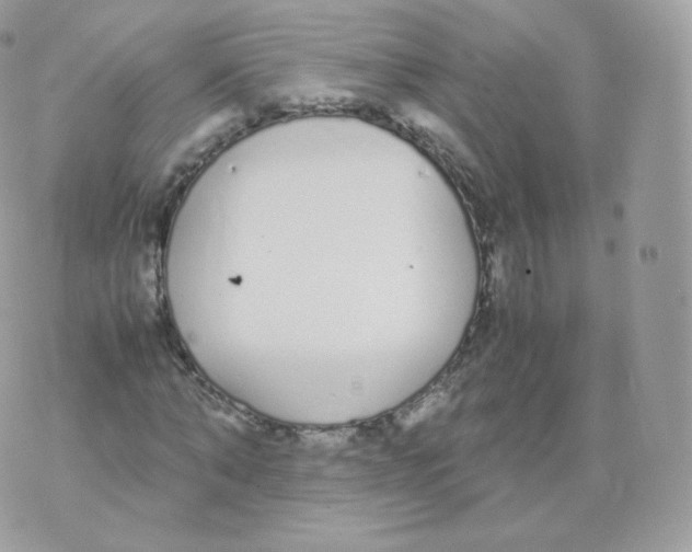 X0000070380870200606301919