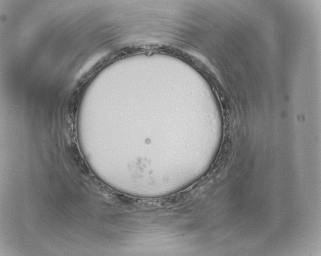 X0000070380871200606301919