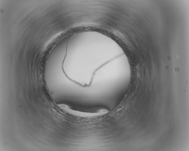 X0000070380872200606301919