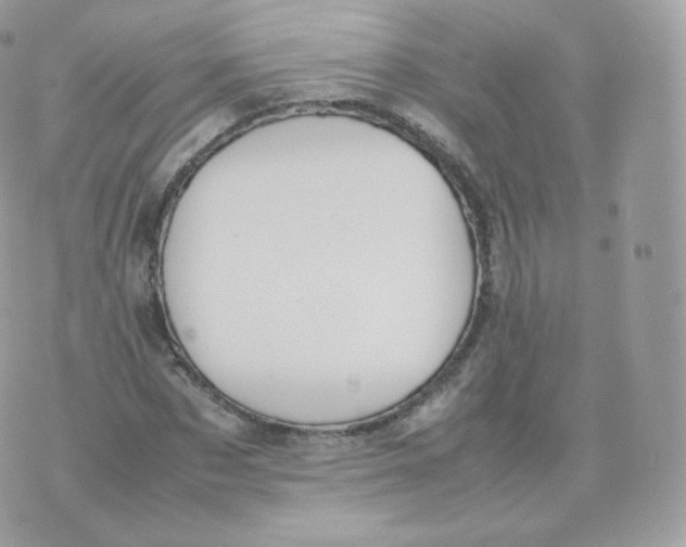 X0000070380873200606301919