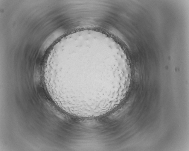 X0000070380874200606301919