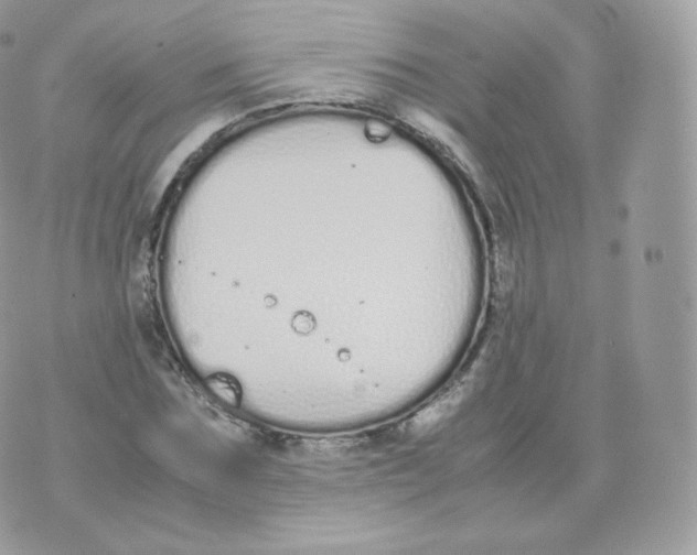 X0000070380875200606301919