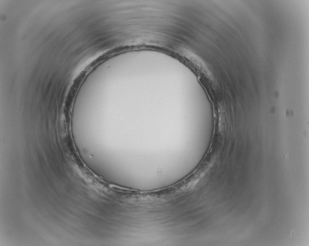 X0000070380876200606301919