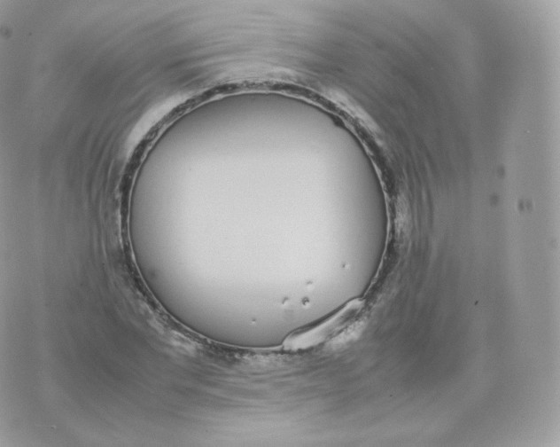 X0000070380877200606301919