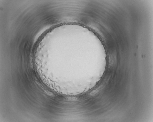 X0000070380878200606301919