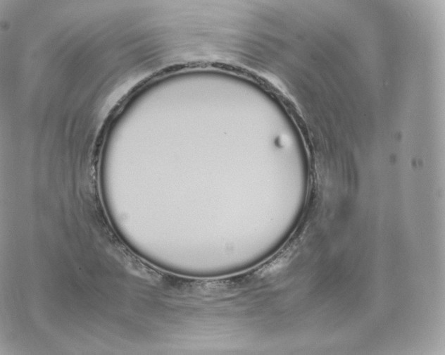 X0000070380879200606301919