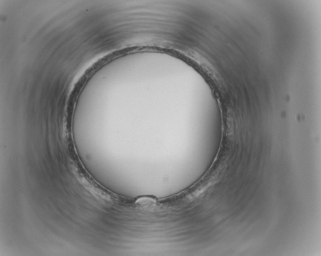 X0000070380880200606301919