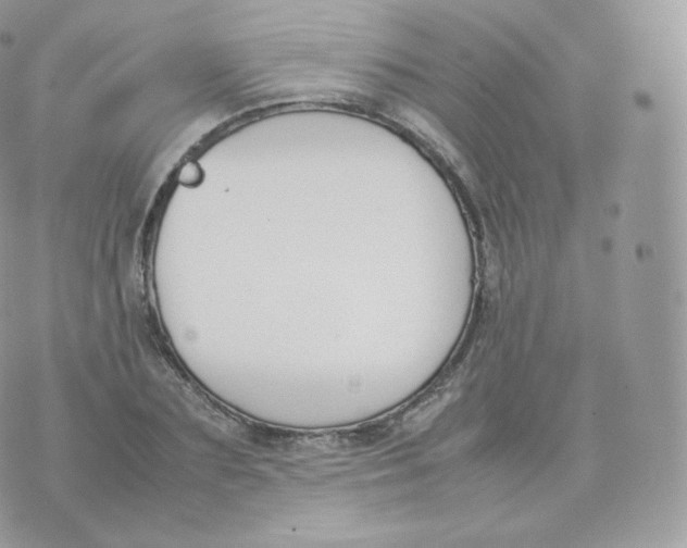 X0000070380883200606301918