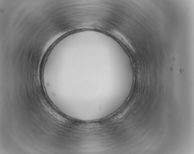 X0000070380884200606301918