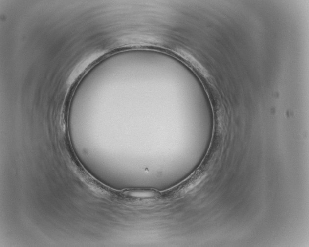 X0000070380885200606301918