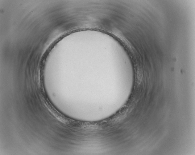 X0000070380886200606301918