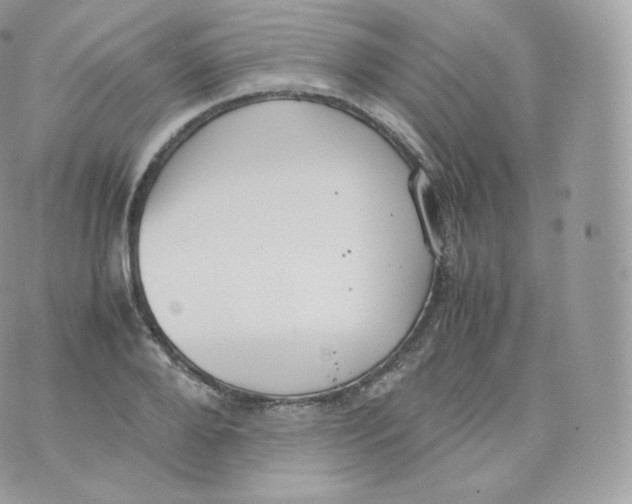 X0000070380888200606301918