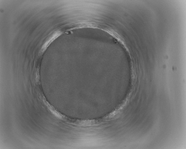 X0000070380889200606301918