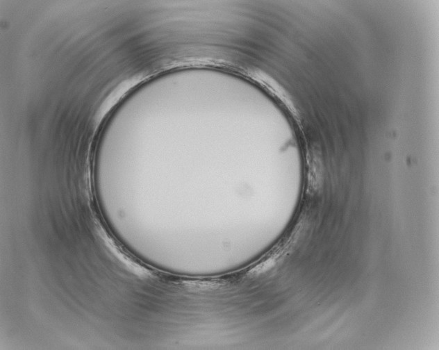 X0000070380890200606301918