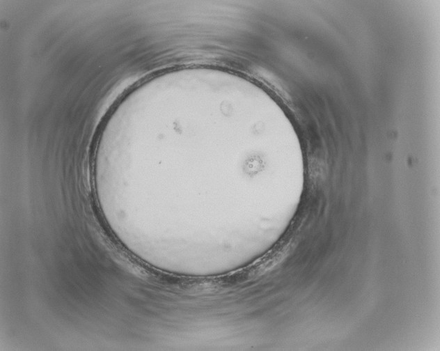 X0000070380891200606301918