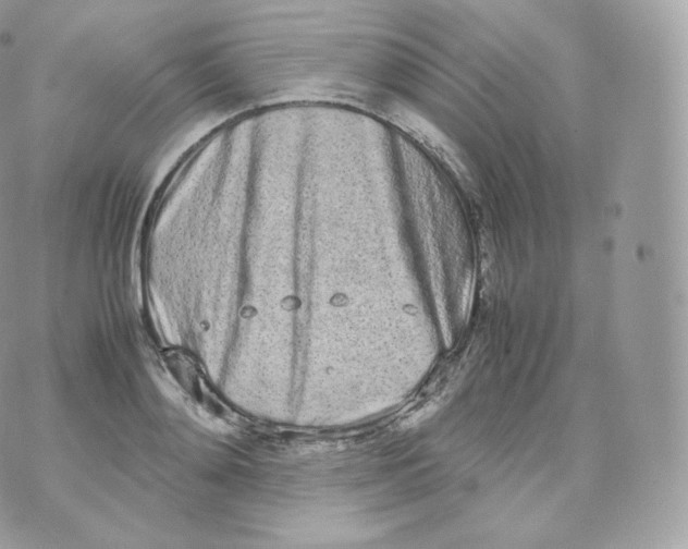 X0000070380892200606301918