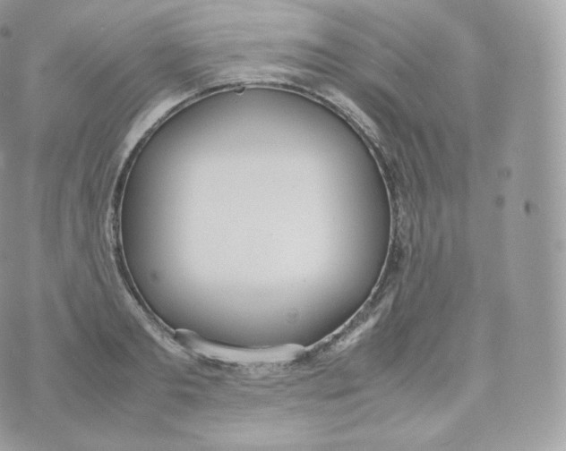 X0000070380893200606301918