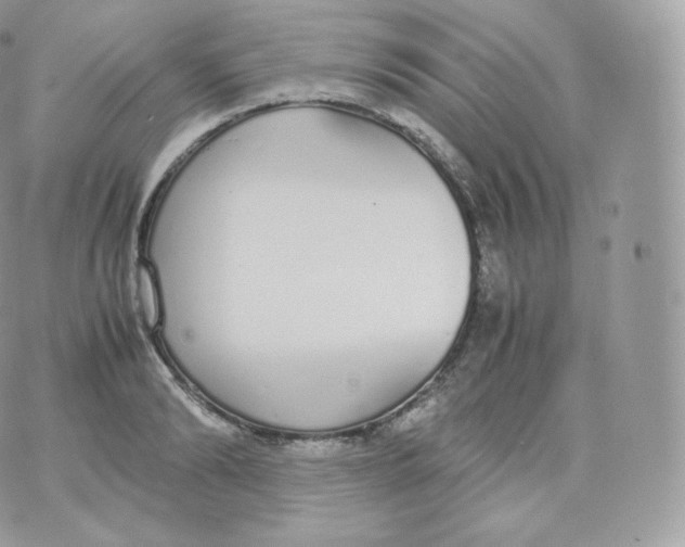 X0000070380894200606301918