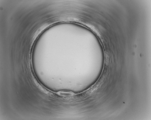 X0000070380895200606301918