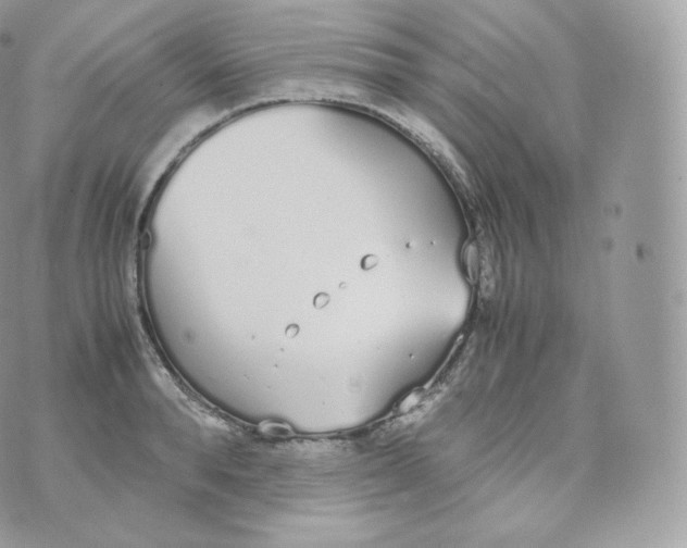 X0000070380896200606301918