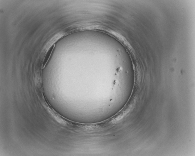 X0000070380897200606301918