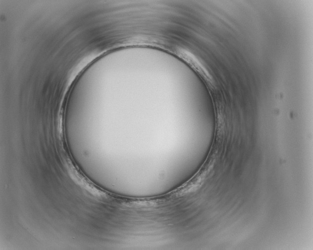 X0000070380900200606301918